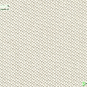 วอลเปเปอร์ติดผนังลายเรียบหรู