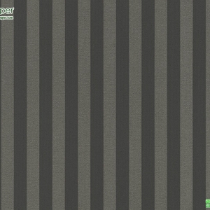 วอลเปเปอร์ติดผนังลายทางสีดำ,เงิน