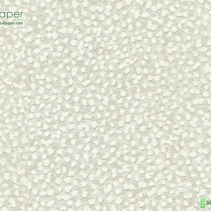 วอลเปเปอร์ลายปูนขัดมัน