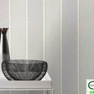 ลายทาง สีเทา