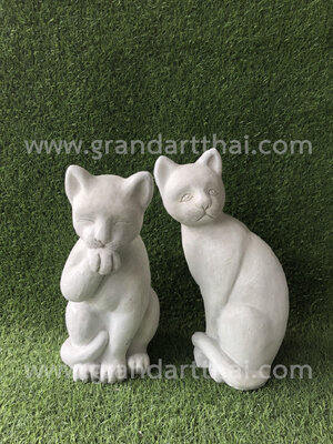 แมว (คู่)