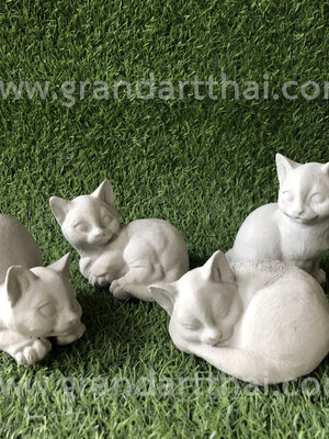 แมวครอบครัวเล็ก 4 ตัว