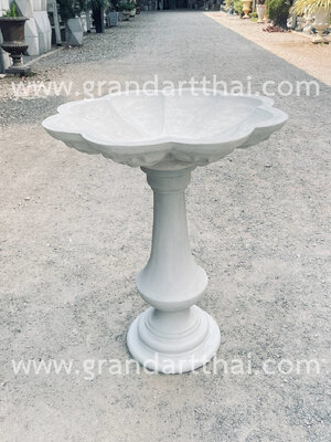 อ่างน้ำนกปากหยักขาเรียบ