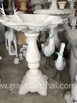 อ่างน้ำนกปากหยักขาหลุยส์