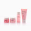 Innisfree Jeju Cherry Blossom Special Kit (4 Items)