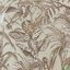 DECORTEX