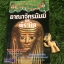 อาณาจักรมัมมี่และพีระมิด