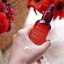 Innisfree Jeju Pomegranate Revitalizing Serum 50 ml.