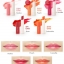 Innisfree Eco Flower Tint Balm #4 Rose