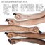 Bobbi Brown Skin Long-Wear Weightless Foundation SPF15 30 ml. - N-032 Sand