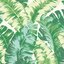 วอลเปเปอร์ติดผนังลายใบกล้วย สีเขียวขาว Tropical