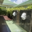 หน้าสิงห์พ่นน้ำ No.1