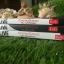 Alive หัวหน้าผมเป็นยมทูต (3 เล่มจบ)