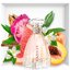 Lanvin Modern Princess Eau De Parfum 30 ml.