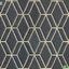 DECORTEX