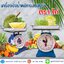 ตาชั่ง20กิโล เครื่องชั่งน้ำหนัก20kg เครื่องชั่งสปริง20กิโล เครื่องชั่งเข็ม20kg เครื่องชั่งสปริงแบบเข็ม20kg ละเอียด100g ตราไก่ (พร้อมใบการตรวจรับรองจากกอง ชั่ง ตวง วัด)