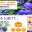 DHC Blueberry 60 Days 120 เม็ด