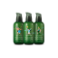 Innisfree The Green Tea Seed Serum 160 ml. Limited Edtion Eco Hankie 2019