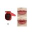 Ameli Lip Plot Plat Lip #914 Vampire