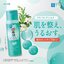 Hada Labo Blemish & Oil Control Pole Jun Hydrating Lotion 170 ml.