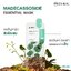 Mediheal Madecassoside Essential Mask 24 ml.