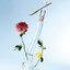 Flower by Kenzo Eau De Toilette 50 ml. Tester Box