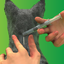 NexGard COMBO spot-on solution for cats 2.5kg-7.5kg เน็กการ์ด คอมโบได้14ชนิด หยดหลังกำจัดป้องกันสำหรับแมว1กล่องมี3หลอด