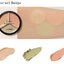 The Saem Cover Perfection Triple pot concealer #01 Correct Beige