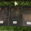 นวนิยายชุด Ghost Marketing (3 เล่มจบ)