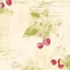 รวมวอลเปเปอร์ติดผนังลายห้องครัว