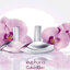 Calvin Klein Euphoria 15 ml.