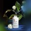 Panpuri Revive ArunaYouth Complex Bakuchiol Age Delay Night Oil 30 ml.