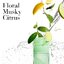 Elizabeth Arden Green Tea Scent Spray Eau de Parfum 100 ml.