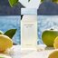 Dolce & Gabbana Light Blue Eau de Toilette, Perfume Gift Set for Women 3 Items