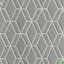 DECORTEX