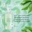 Elizabeth Arden Green Tea Refreshing Body Lotion 500 ml.