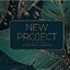 New Project