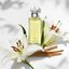Calvin Klein Eternity For Women Eau De Parfum 100 ml.