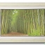 กรอบรูป ภาพทางเดินป่าไผ่