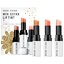 Bobbi Brown Mini Extra Lip Tint Kit