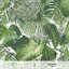 BOTANIC