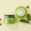 Innisfree Green Tea Sleeping Mask New 2018 80 ml.